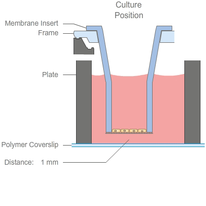 ANI_P_824X6_Plate_24well_Membrane_Inserts_Principle.gif